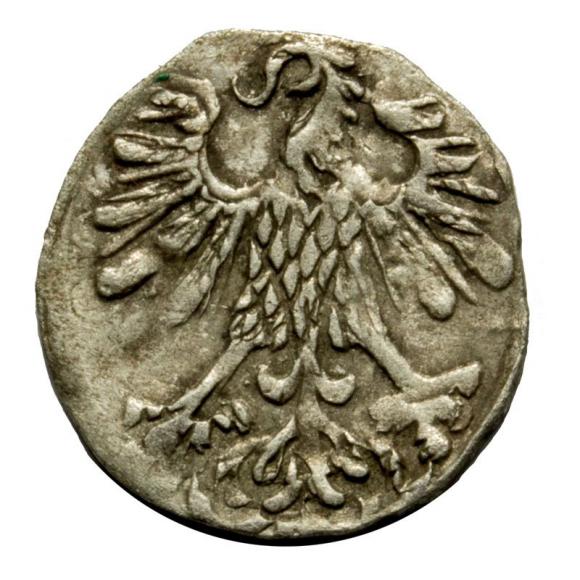 Denar 1556 Sigismund II Augustus Vilnius (2)