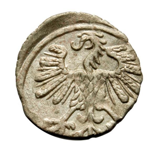 Denar 1559 Sigismund II Augustus Vilnius (2)