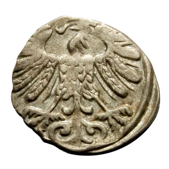 Denar 1558 Sigismund II Augustus Vilnius (2)