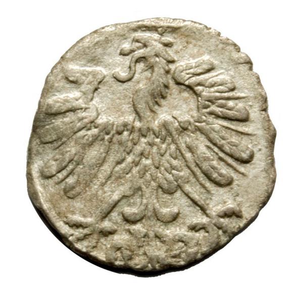 Denar 1558 Sigismund II Augustus Vilnius (2)