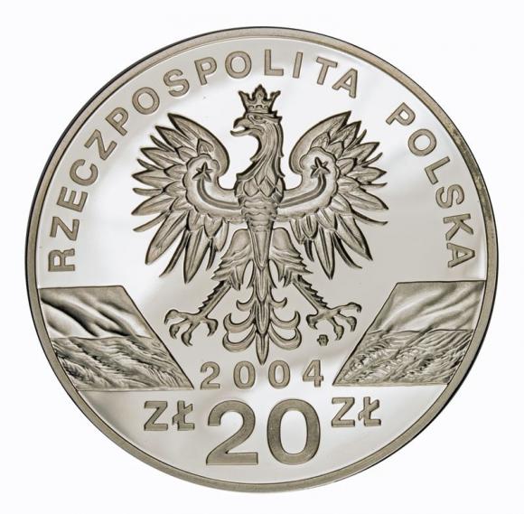 20 zl 2004 Porpoise (2)