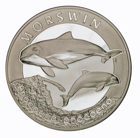 20 zl 2004 Porpoise (1)