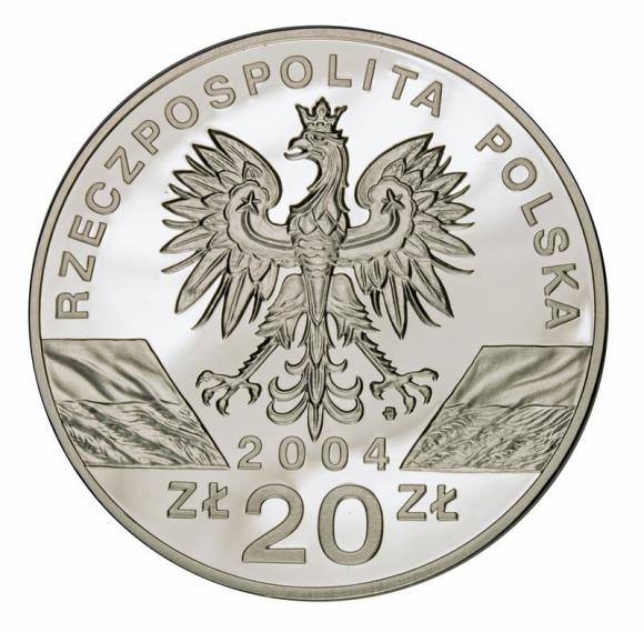 20 zl 2004 Porpoise (2)