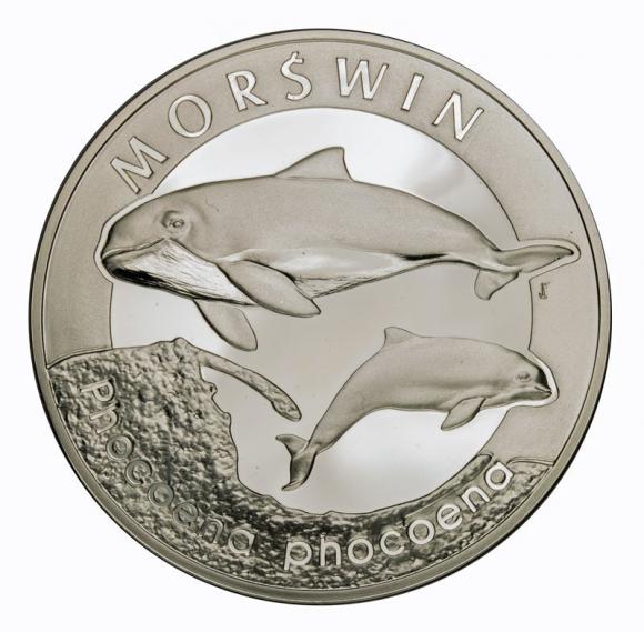 20 zl 2004 Porpoise (1)