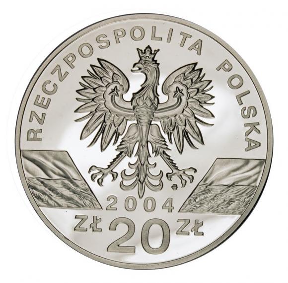 20 zl 2004 Porpoise (2)