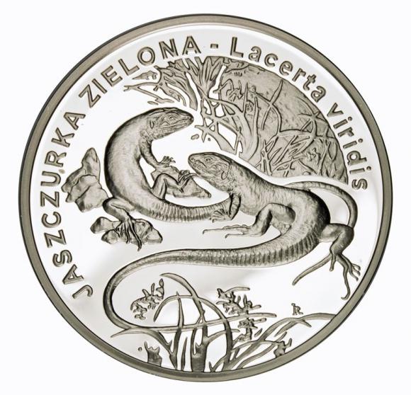 20 zl 2009 Green lizard (1)