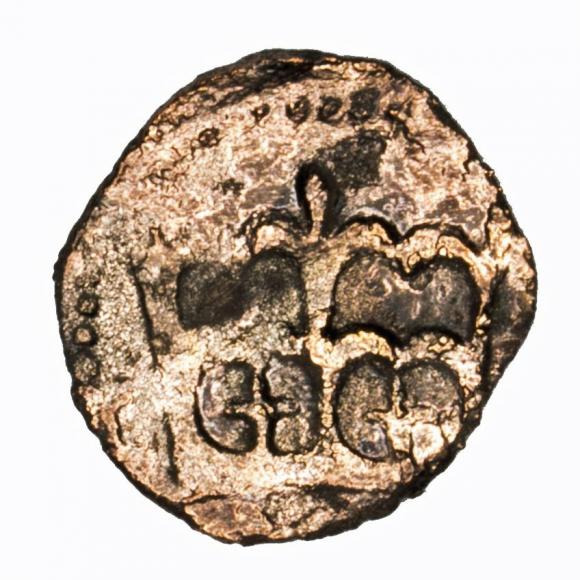 Denar Casimir IV Jagiellon Krakow (1)