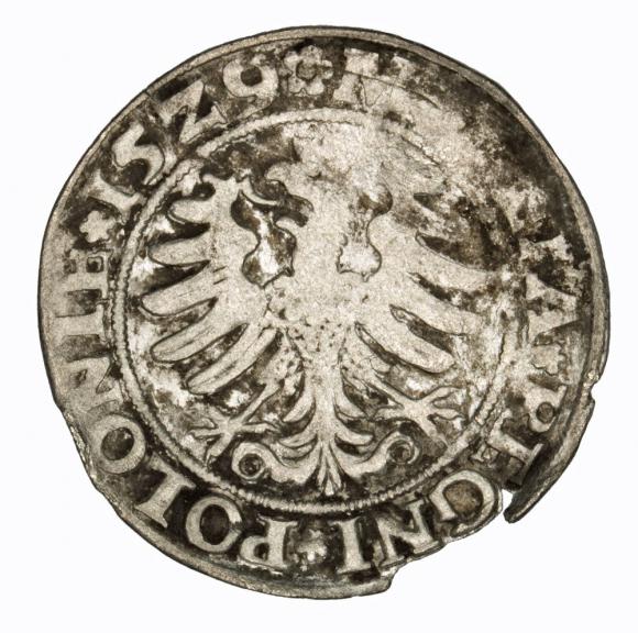 Groschen 1529 Sigismund I the Old Krakow