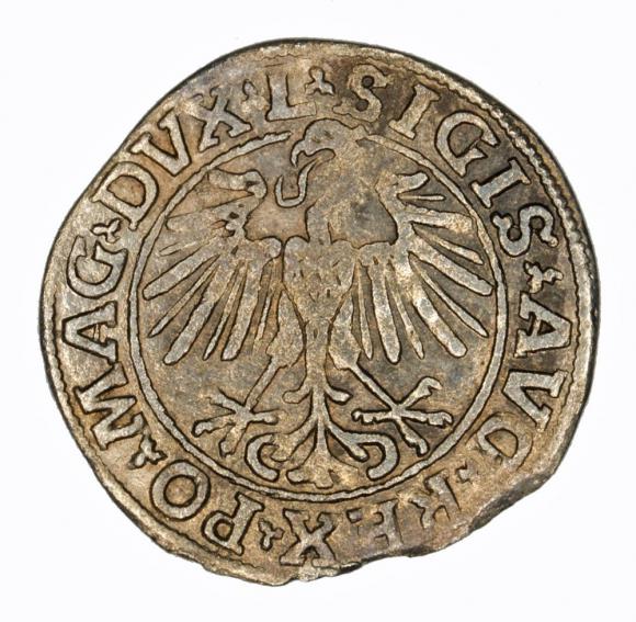 Half groschen 1548 Sigismund II Augustus Vilnius (2)