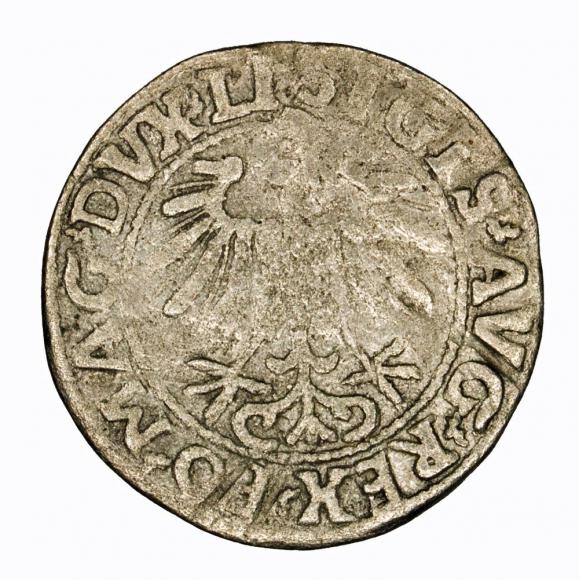 Half groschen 1557 Sigismund II Augustus Vilnius