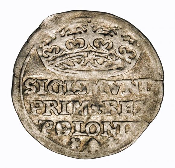 Groschen 1528 Sigismund I the Old Krakow (1)