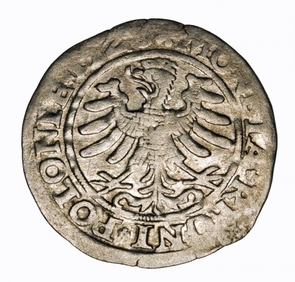 Groschen 1528 Sigismund I the Old Krakow (2)