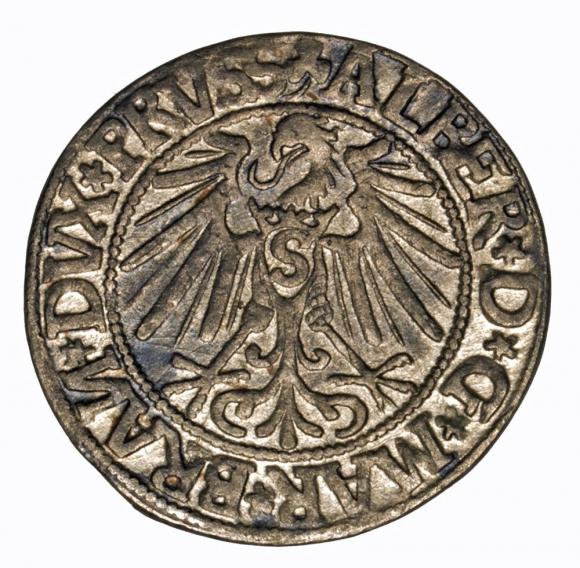 Groschen 1544 Albert of Prussia Duchy of Prussia Kaliningrad