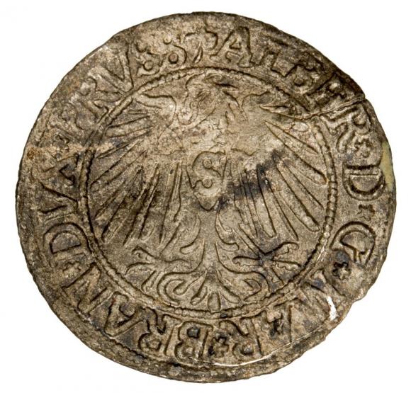 Groschen 1542 Albert of Prussia Duchy of Prussia Kaliningrad