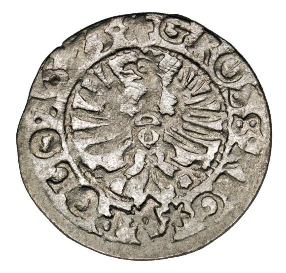 Groschen 1623 Sigismund III Vasa Bydgoszcz (2)