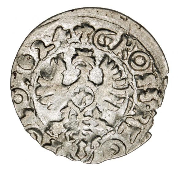 Groschen 1624 Sigismund III Vasa Bydgoszcz