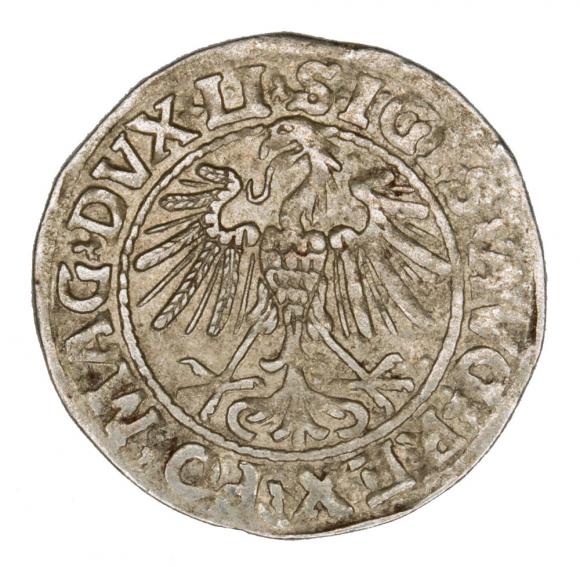 Half groschen 1547 Sigismund II Augustus Vilnius (2)