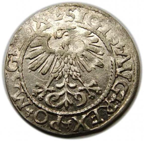 Półgrosz 1561 Zygmunt II August Wilno (2)