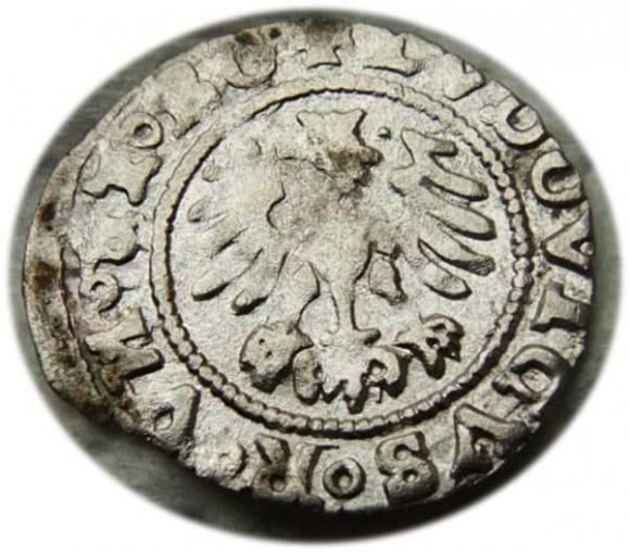 Półgrosz 1526 Ludwik I Jagiellończyk Świdnica (2)