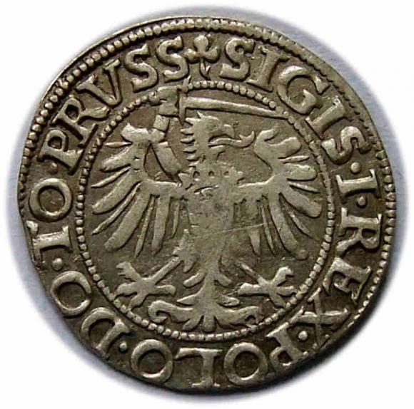 Groschen 1539 Sigismund I the Old Elblag