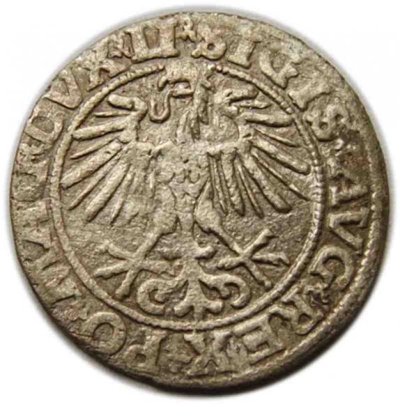 Półgrosz 1551 Zygmunt II August Wilno (2)