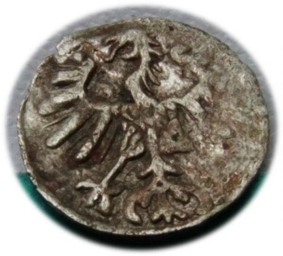 Denar 1557 Zygmunt II August Wilno (2)