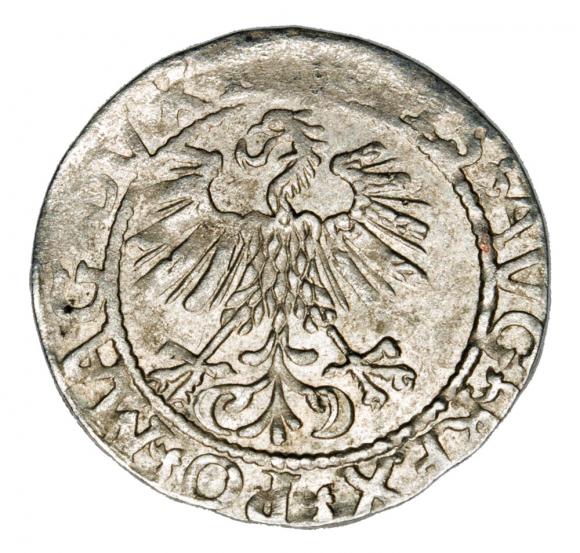 Halfgroschen 1561 Sigismund II Augustus Lithuania Vilnius (2)