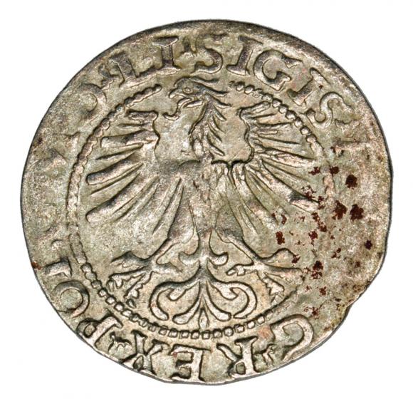 Halfgroschen 1564 Sigismund II Augustus Lithuania Vilnius