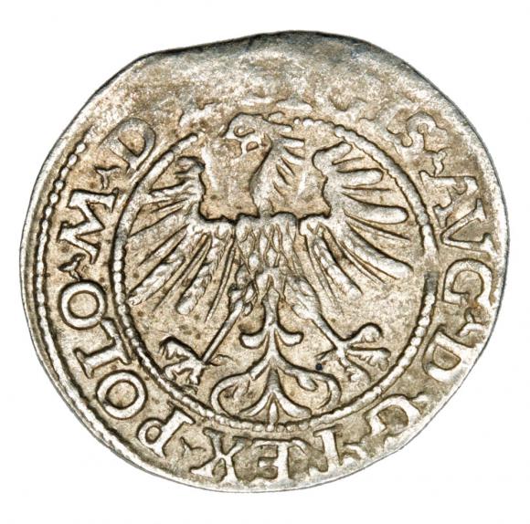 Halfgroschen 1563 Sigismund II Augustus Lithuania Vilnius (2)