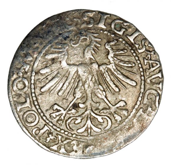 Halfgroschen 1563 Sigismund II Augustus Lithuania Vilnius