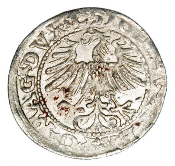 Halfgroschen 1563 Sigismund II Augustus Lithuania Vilnius