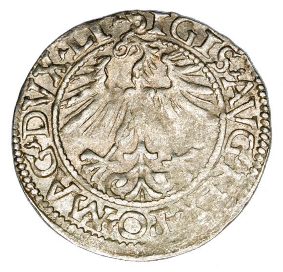 Halfgroschen 1562 Sigismund II Augustus Lithuania Vilnius (2)