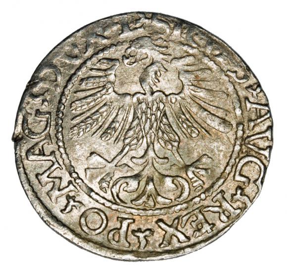 Halfgroschen 1561 Sigismund II Augustus Lithuania Vilnius