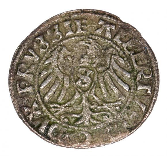 Schilling 1529 Albert of Prussia Duchy of Prussia Kaliningrad (2)