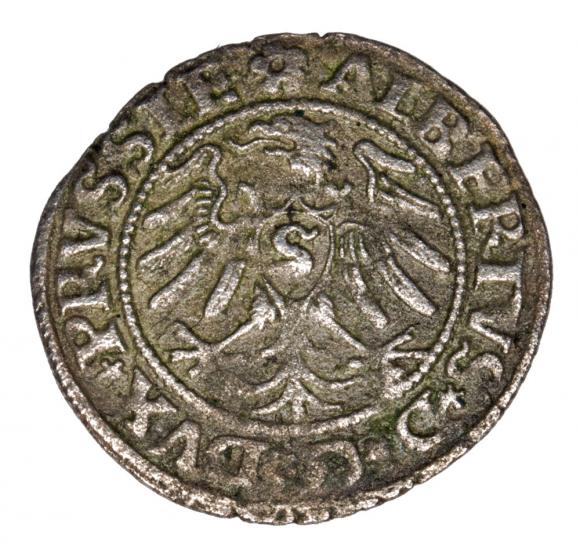 Schilling 1531 Albert of Prussia Duchy of Prussia Kaliningrad (2)