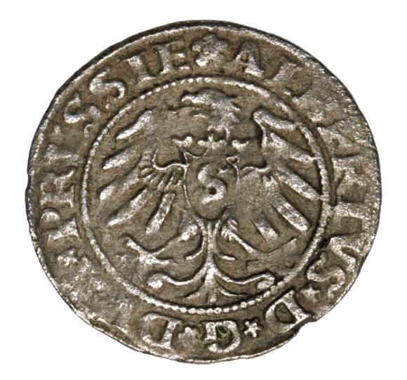 Schilling 1531 Albert of Prussia Duchy of Prussia Kaliningrad (2)