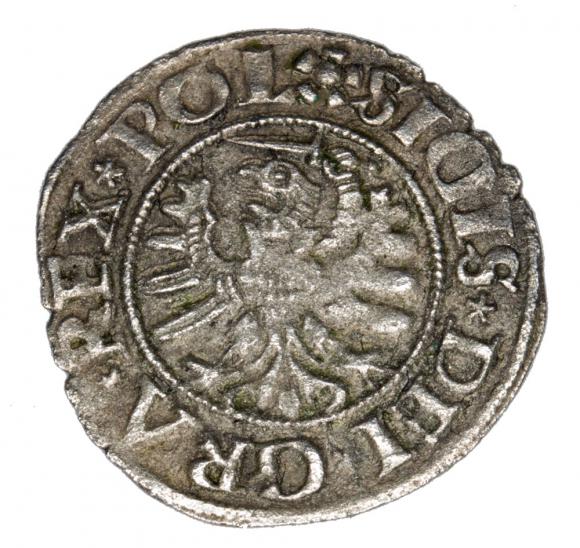 Schilling 1531 Sigismund I the Old Gdansk (2)