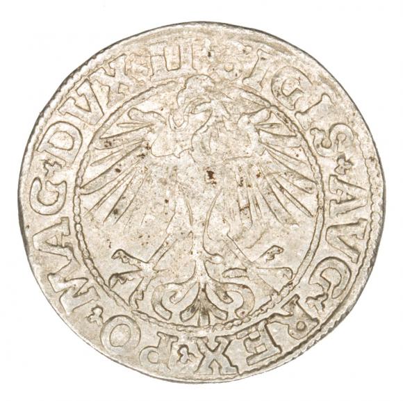 Half groschen 1550 Sigismund II Augustus Lithuania Vilnius
