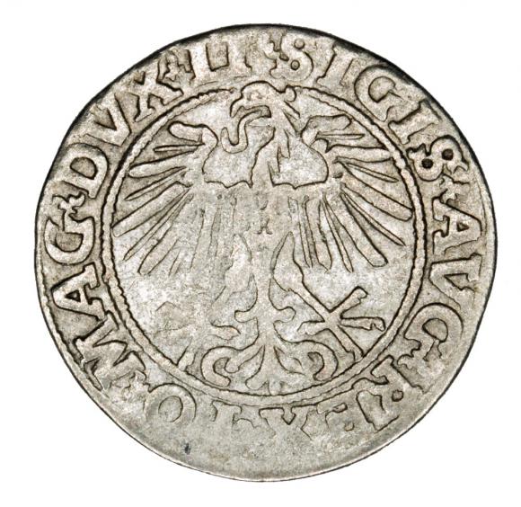 Half groschen 1551 Sigismund II Augustus Lithuania Vilnius (2)