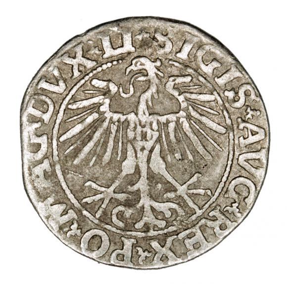 Half groschen 1551 Sigismund II Augustus Lithuania Vilnius