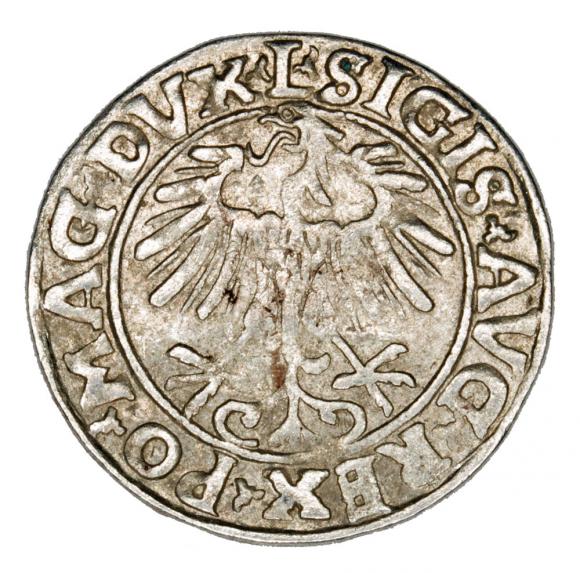 Half groschen 1556 Sigismund II Augustus Lithuania Vilnius