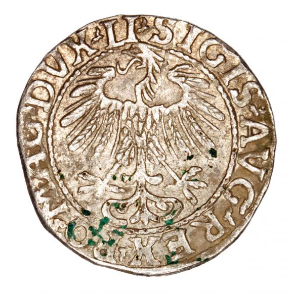 Half groschen 1557 Sigismund II Augustus Lithuania Vilnius