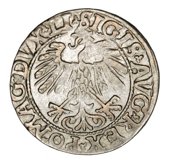 Half groschen 1558 Sigismund II Augustus Lithuania Vilnius