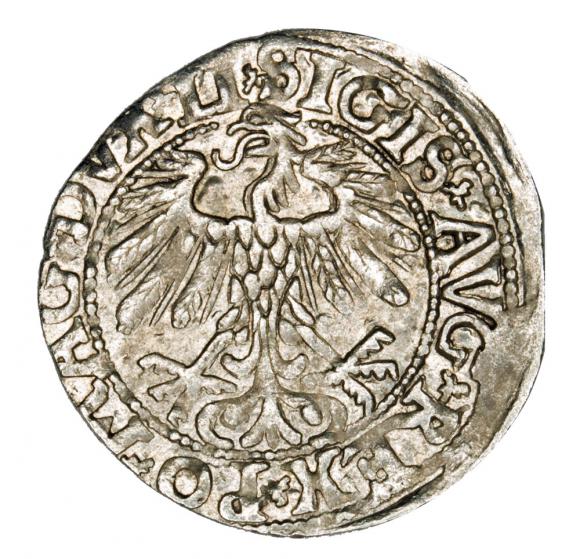 Half groschen 1558 Sigismund II Augustus Lithuania Vilnius (2)
