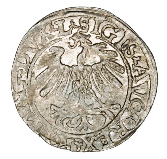 Half groschen 1558 Sigismund II Augustus Lithuania Vilnius (2)