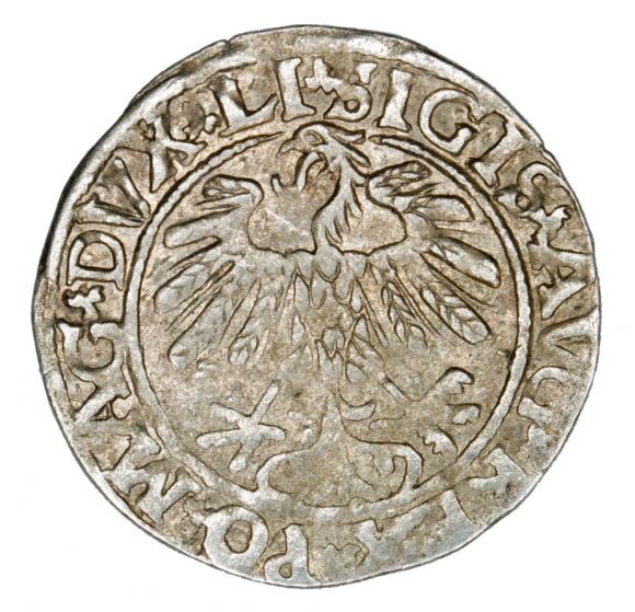 Half groschen 1559 Sigismund II Augustus Lithuania Vilnius