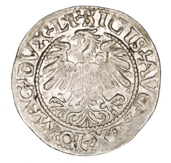 Half groschen 1559 Sigismund II Augustus Lithuania Vilnius (2)