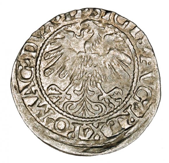Half groschen 1559 Sigismund II Augustus Lithuania Vilnius (2)