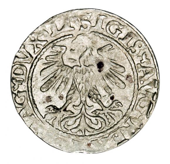 Half groschen 1560 Sigismund II Augustus Lithuania Vilnius