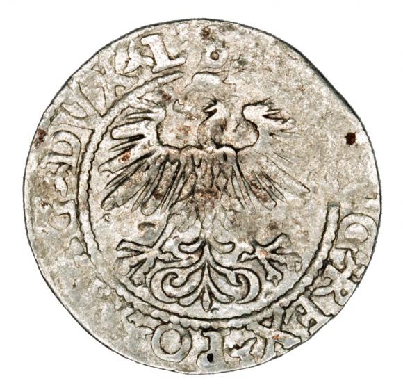 Half groschen 1560 Sigismund II Augustus Lithuania Vilnius (2)